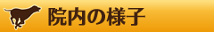 main_title